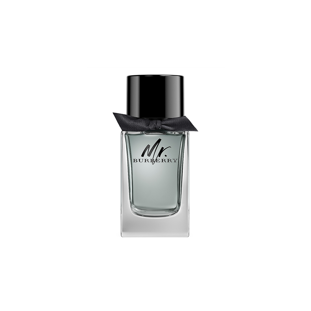 Burberry Mr Burberry Eau De Toilette 100ml